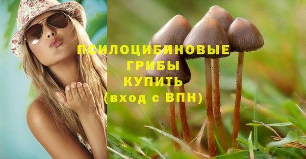 таблы Алексеевка