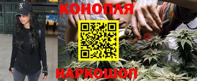герыч Новозыбков