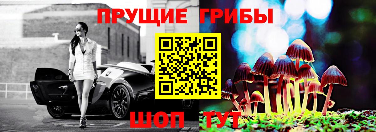 Псилоцибиновые грибы мицелий Чусовой